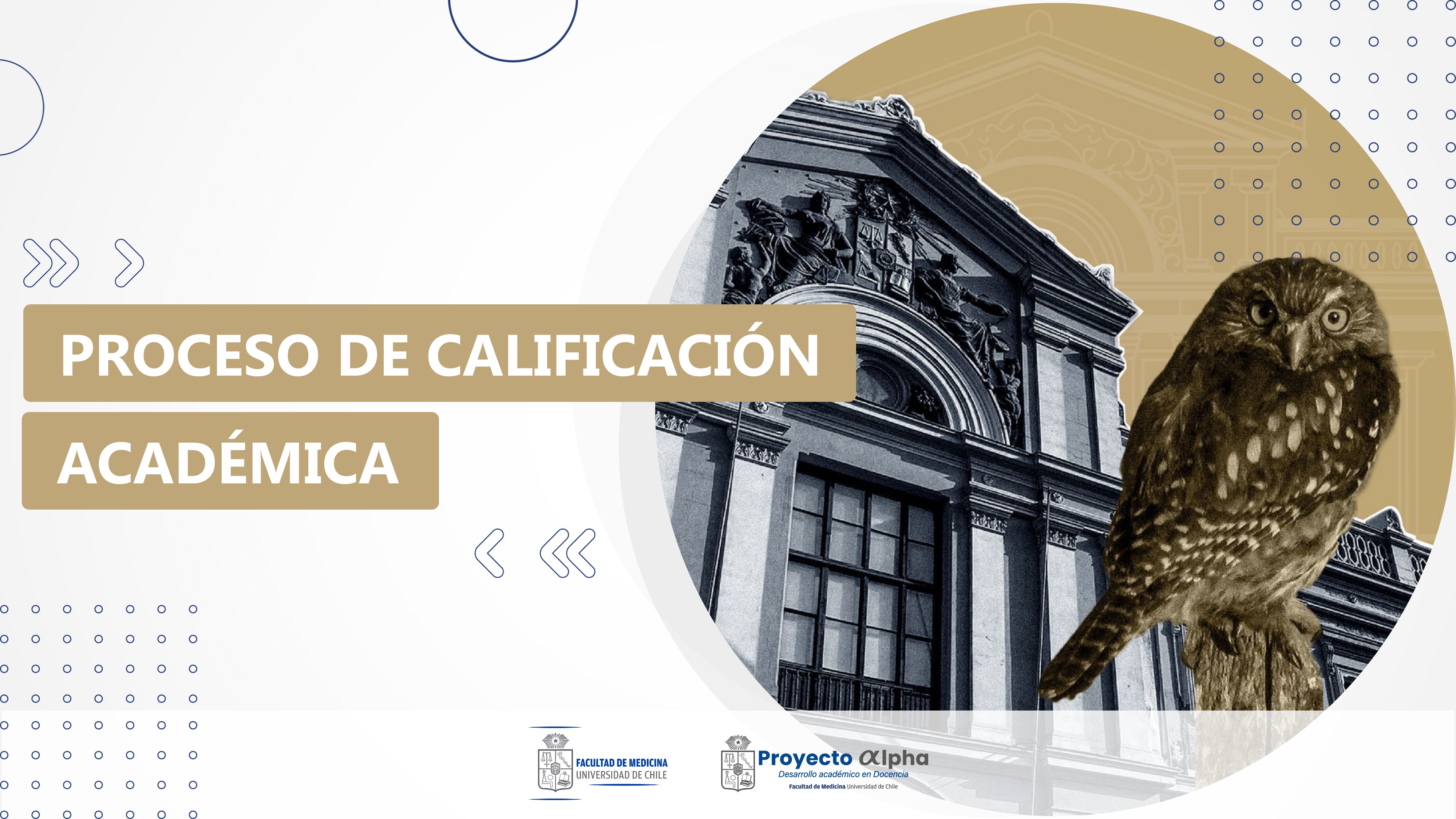 Proceso de Calificación Académica ALCALI